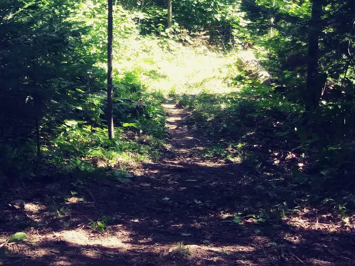 Reeves Falls Camp 6