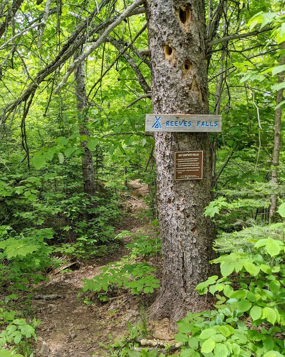 Reeves Falls Camp 4