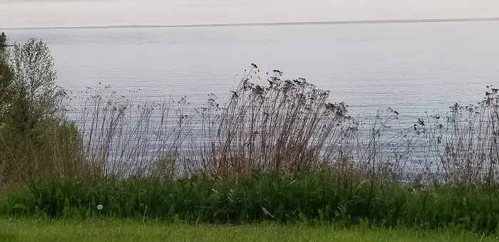Burlington Bay Campground 6