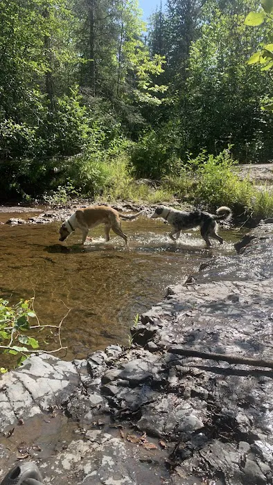Silver Creek Camp 6