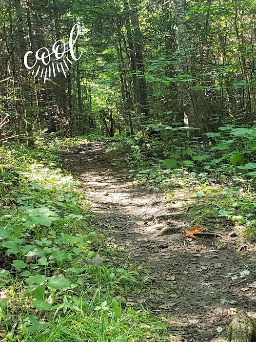 Crow Valley Camp 2