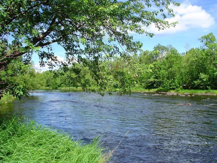 Cloquet River Campground 10
