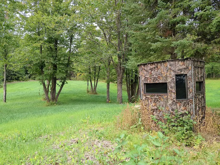 Paradise Hills - Horse Camp 10