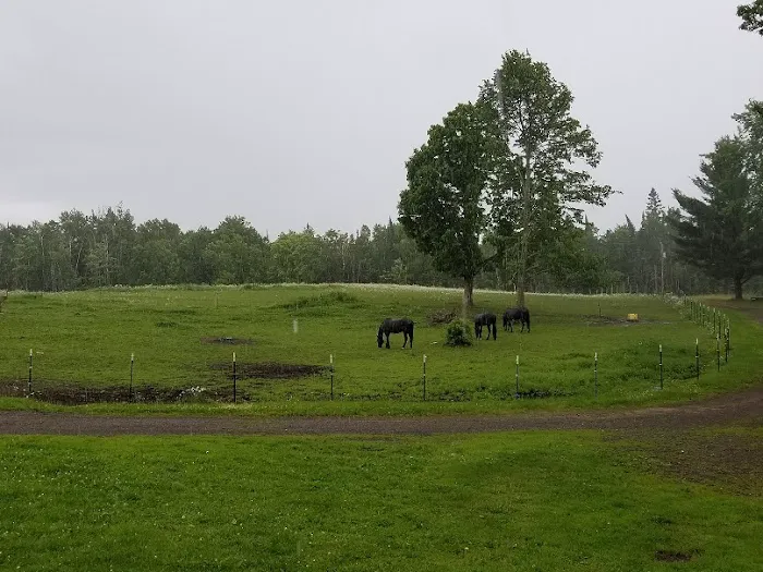 Paradise Hills - Horse Camp 1