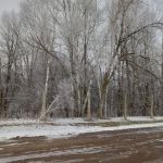 Equestrian Campground
