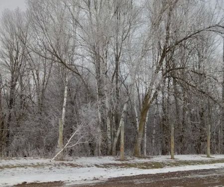 Equestrian Campground