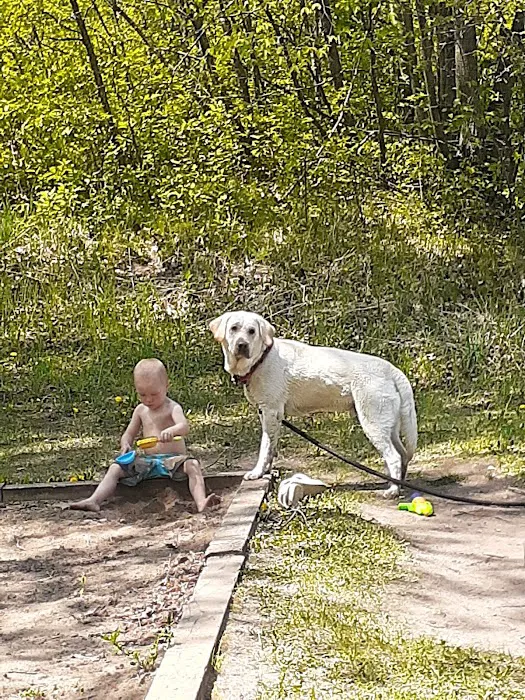 Birch Lake Campground and Day-Use Area 5