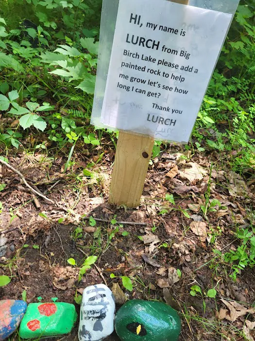 Birch Lake Campground and Day-Use Area 9