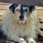 Birch Lake Campground and Day-Use Area