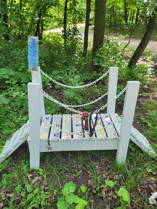 Birch Lake Campground and Day-Use Area 8