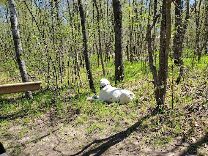 Birch Lake Campground and Day-Use Area 6