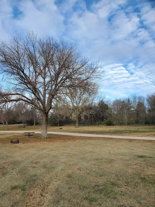 Area Two Campground 6