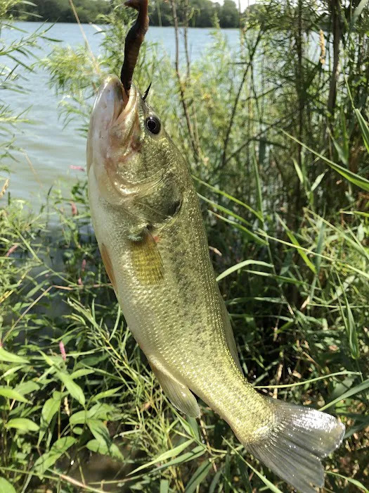 Olive Creek Dam-Site 2 Park 10