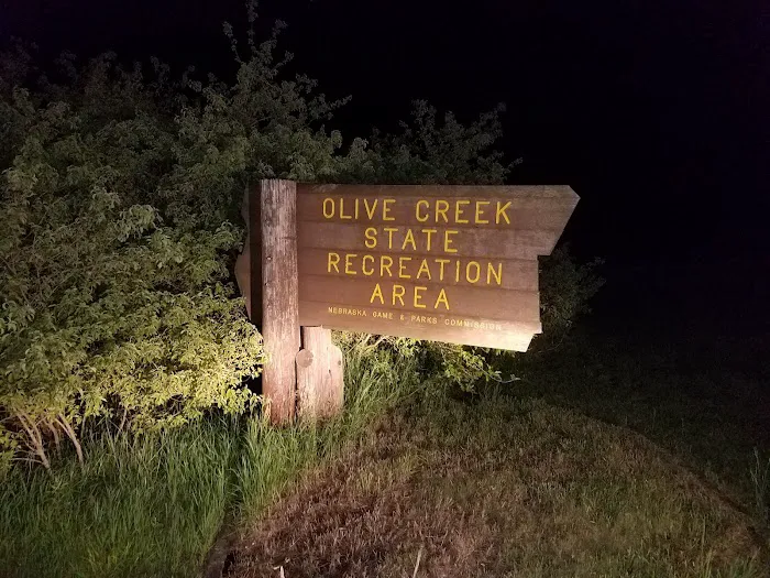 Area One Campground 1