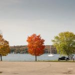 Lakeview Village