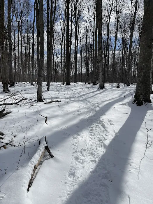 Charlevoix County Whiting Park 1