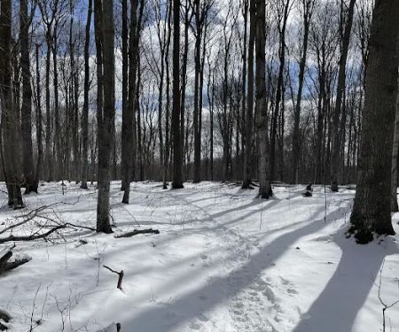 Charlevoix County Whiting Park