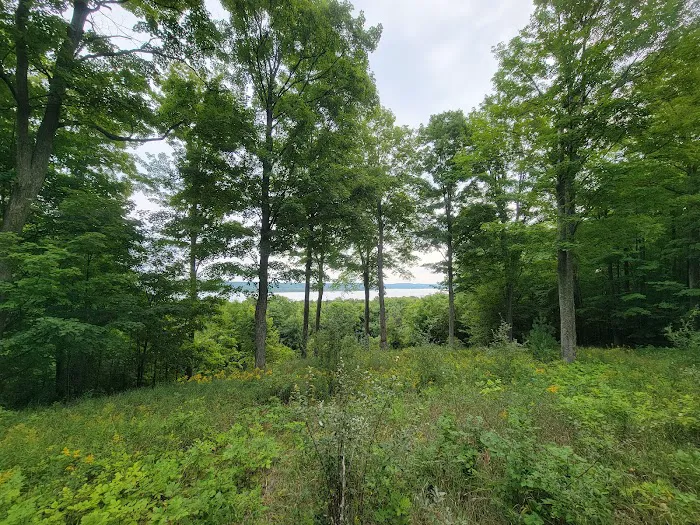 Charlevoix County Whiting Park 9