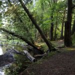Fisherman's Island State Park South Campground