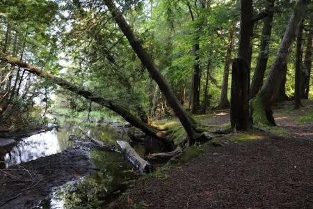 Fisherman's Island State Park South Campground