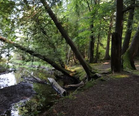 Fisherman's Island State Park South Campground
