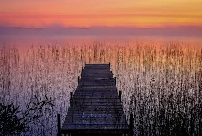 Lakeshore Estates 5