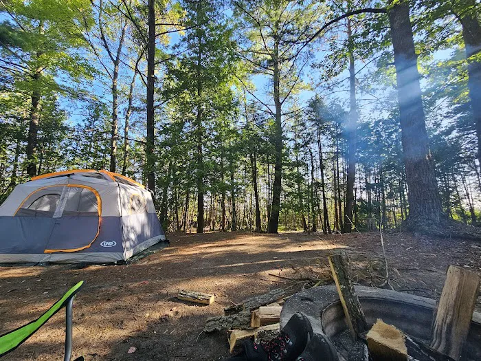 Ossineke State Forest Campground 2