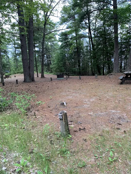 Ossineke State Forest Campground 6