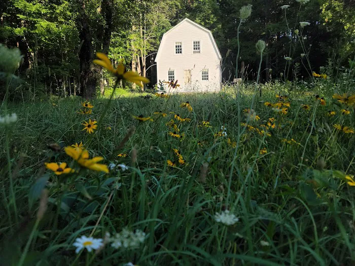 Popple Campground 10