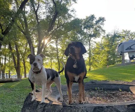 Olde Oak RV Park & Campground