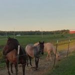 Camp Conley RV Park