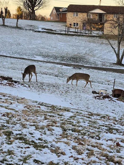 Meadowbrooke RV Park 3