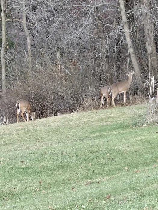 Meadowbrooke RV Park 5