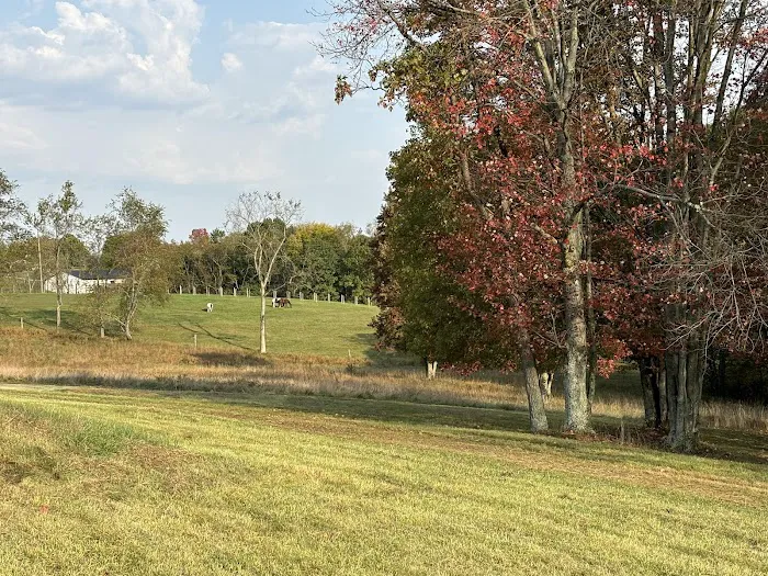 Starry Fields RV Park 3