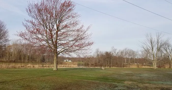 Village Green Campground 4