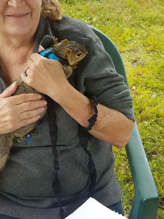 Wildwood Acres 1