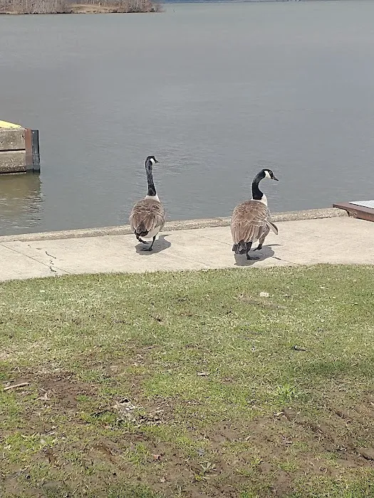 Pymatuning State Park - Ohio Campground 10