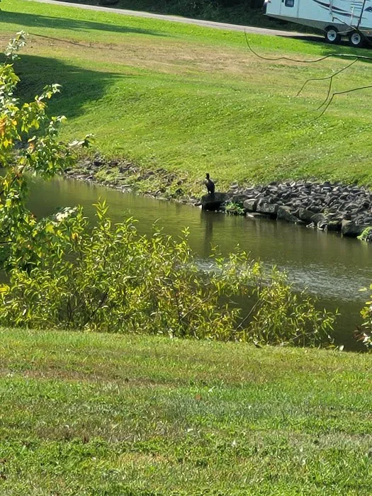 Meadow Lake Campground 8
