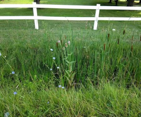 Shangri-LA by the Lake Campgroud