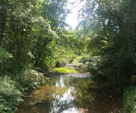 Pleasant Valley Mobile Home