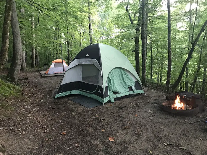 Alum Ford Campground 10