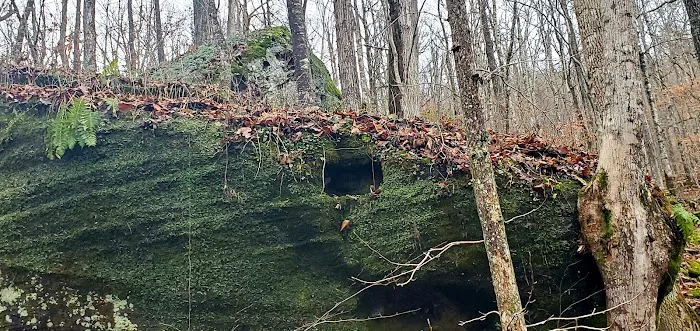 Alum Ford Campground 8