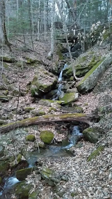 Alum Ford Campground 1