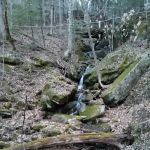 Alum Ford Campground