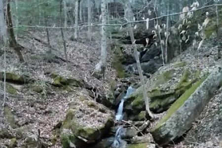 Alum Ford Campground
