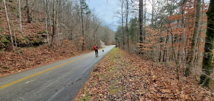 Alum Ford Campground 7