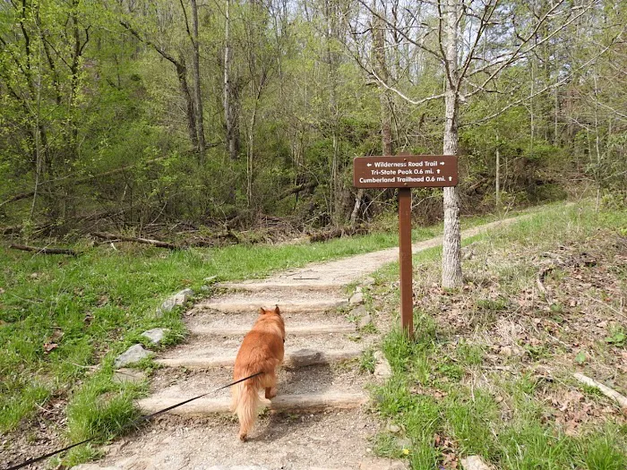Cumberland Gap Wilderness Road Campground 10