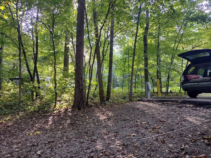 Cumberland Gap Wilderness Road Campground 5