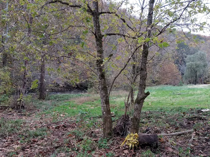River Forge RV Park and Campground 3