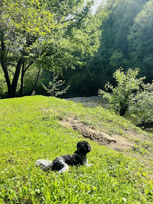 Mountain Pass Campground 5